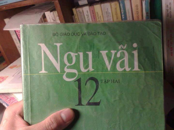 Ngu-vai.jpg