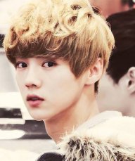 luhan